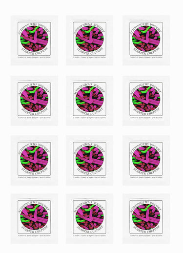 Buy Online Pack of 12 Freeze-dried Culture Sachets for Acidophilus Yogurt